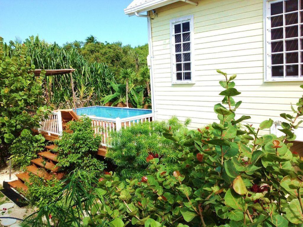 Hidden Gem Cabana Caye Caulker Bagian luar foto